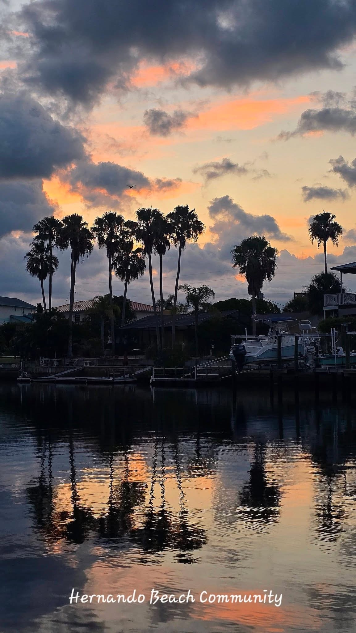 Palm tree marina sunset at Hernando Beach